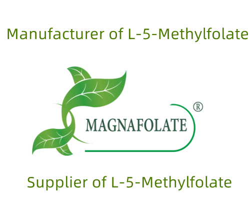 L-metyylifolaatin merkitys keholle