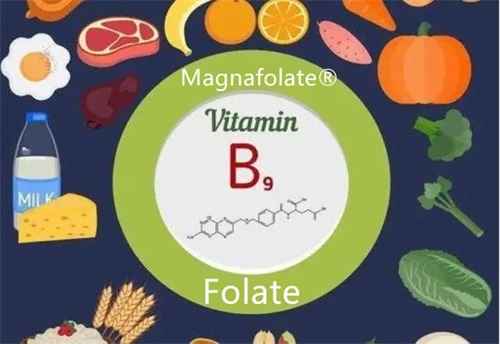 Foolihappo, folaatti ja L-metyylifolaatti