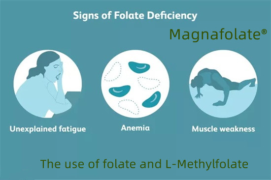 Folaatin ja L-metyylifolaatin käyttö