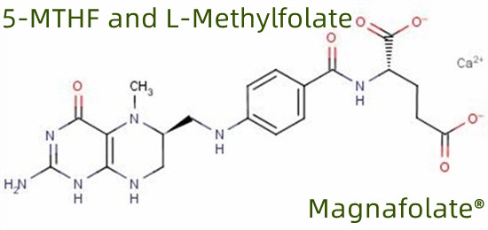 5-MTHF ja L-metyylifolaatti