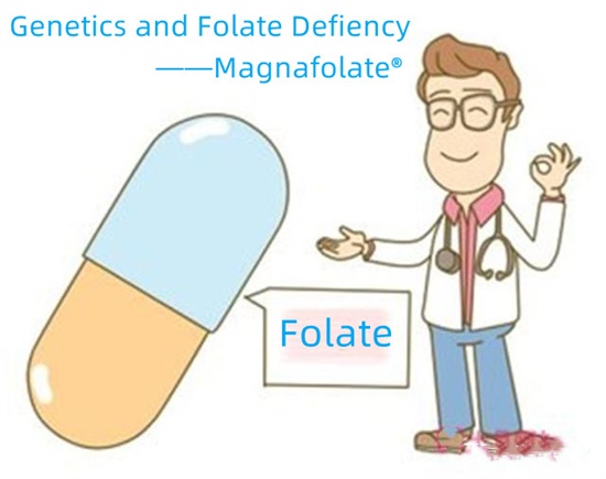 Genetiikka ja folaatin puute - Magnafolaatti