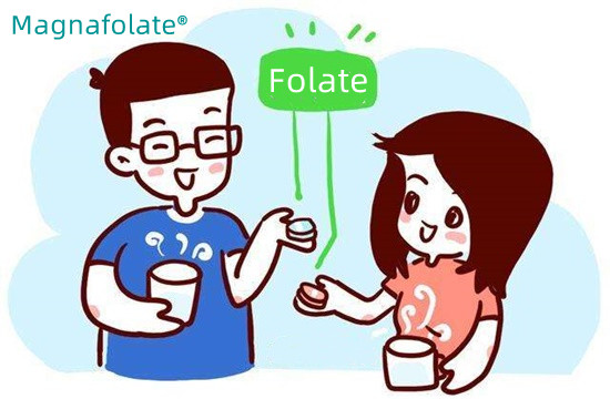 Kuinka paljon folaattia pitäisi ottaa päivässä?