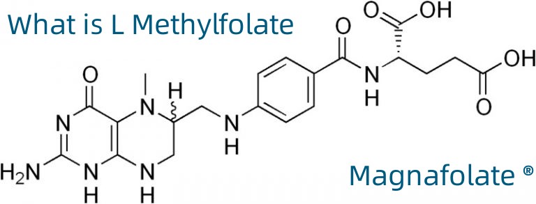 Mikä on L-metyylifolaatti?