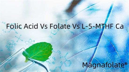 Foolihappo vs folaatti vs L-5-MTHF Ca