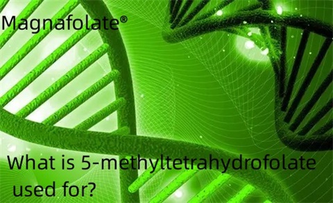 Mihin 5-metyylitetrahydrofolaattia käytetään?