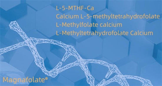 Kalsium-L-5-metyylitetrahydrofolaatti Cas151533-22-1