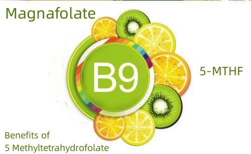 5 metyylitetrahydrofolaatin edut