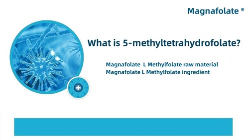 Mikä on 5-metyylitetrahydrofolaatti?