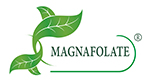 Magnafolate® VS foolihappo