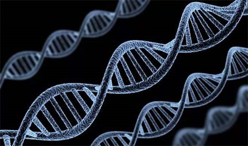 Epänormaalit folaattia metaboloivan entsyymin genotyypit ovat tärkein syy folaattiaineenvaihduntahäiriöihin