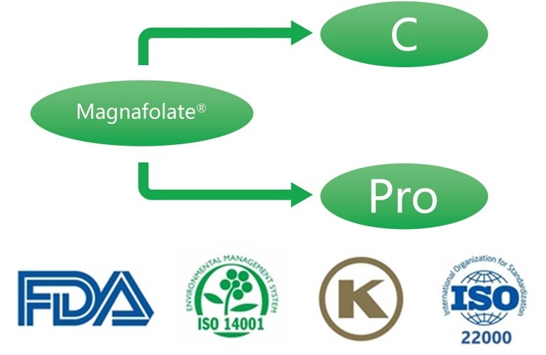 Mikä on kalsium-L-5-metyylitetrahydrofolaatti? Mitkä ovat toimittajat?