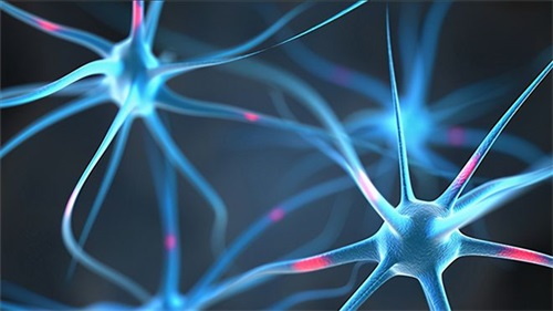 Miksi folaatin puute voi johtaa neurologisiin ongelmiin
