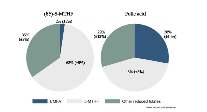 Varo! Scientific Reportsissa tehty tutkimus vahvistaa, että kun imettävät naiset käyttävät lisäravinteena foolihappoa, 28 % heidän maidon folaatista on käyttökelvotonta metaboloitumatonta foolihappoa (UMFA) – 14 kertaa enemmän kuin äideillä, jotka käyttävät bioaktiivista muotoa.
